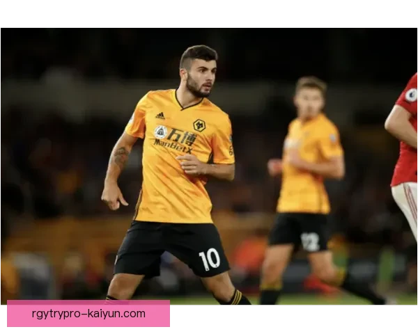 狼队当前球队结构分析：阵容框架与战术体系走势清晰